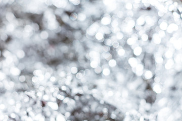 Silver color abstract background. bokeh blurred beautiful shiny Christmas lights