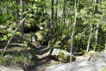 boulders and rocks in the forest