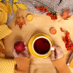female hands holding a cup of hot tea or coffee, autumn flat in the Scandinavian hugg style, with yellow leaves, cozy knitwear, candles and berries, a blank for the designer