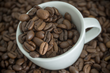 geröstete braune Kaffeebohnen in einer kleinen weißen Tasse auf Bohnen Hintergrund