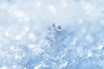 Snowflakes close-up. Macro photo. The concept of winter, cold, beauty of nature. Copy space.