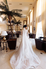 Beautiful bride in fashion wedding dress with a long luxury veil. The stunning young bride is incredibly happy. Gorgeous bride with wedding hairstyle, make-up and elegant white wedding dress.