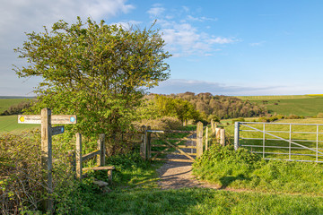 A pathway in the Sussex countryside on a sunny spring morning