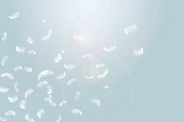 Soft white feathers floating in the air