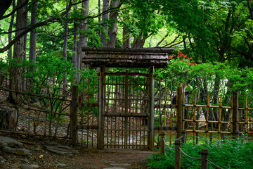 Fototapeta na wymiar 日本庭園のイメージ