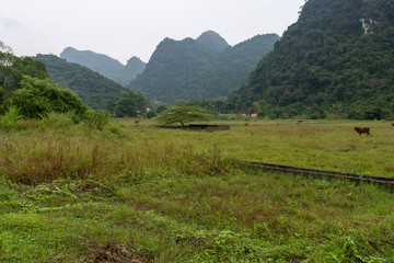 Fototapeta premium The beautiful hidden Cat Ba Island which is regularly visited by boat tours around Ha Long Bay shot on a bright day in Autumn