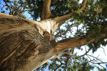 schönes Griechenland