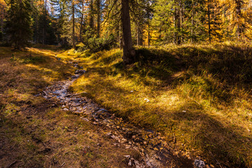 Autumn magic. The golden larches frame the magical colors of the woods in the Dolomites. Cortina d'Ampezzo. Italy