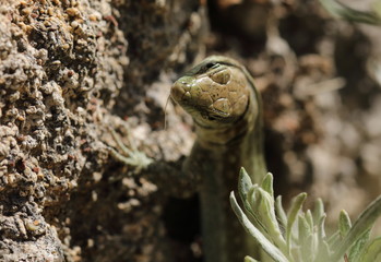 schönes Griechenland