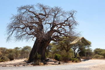 Fototapeta na wymiar Tarangire National Park entrance gate, Tanzania, Africa