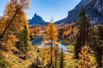 Golden reflections on the Federa lake. Dreamlike Dolomites. Italy