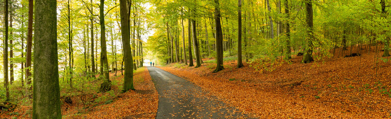 Fototapeta premium Herbststimmung