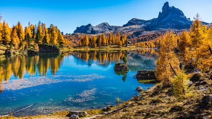 Golden reflections on the Federa lake. Dreamlike Dolomites. Italy - obrazy, fototapety, plakaty