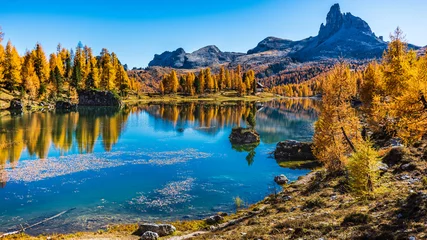 Photo sur Plexiglas Dolomites Reflets dorés sur le lac Federa. Dolomites oniriques. Italie