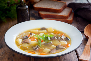 Forest mushroom soup in an enameled plate on a wooden table, horizontal