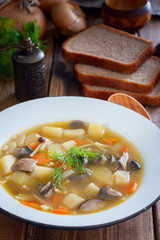 Forest mushroom soup in an enamel plate, selective focus
