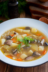 Forest mushroom soup in an enamel plate, selective focus