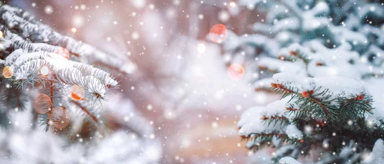 Foto auf Acrylglas Frostige Winterlandschaft im verschneiten Wald. Weihnachtshintergrund mit Tannenbäumen und unscharfem Hintergrund des Winters. © Jukov studio