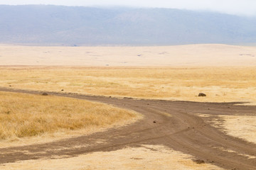 Dirt road on Ngorongoro crater, Tanzania landscape
