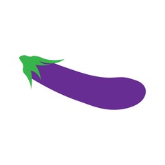 vector eggplant icon with background