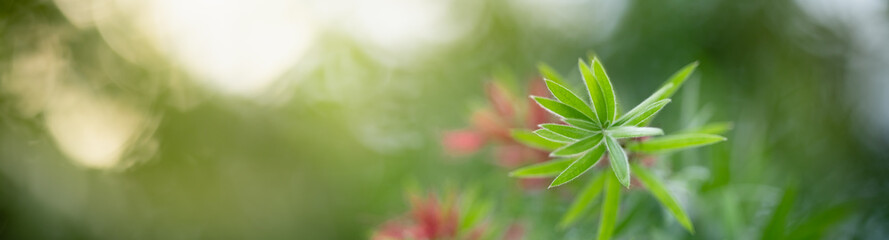 Nature of green leaf in garden at summer. Natural green leaves plants using as spring background cover page greenery environment ecology wallpaper