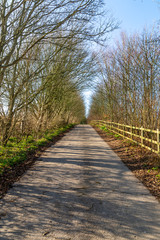 Fototapeta na wymiar Looking along a country road in Sussex on a sunny winters day