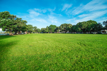 Fototapeta na wymiar LWTWL0007854 Green grass on a golf field