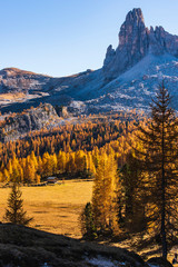 Dreamy colors and the magic of autumn. Dolomites in golden dress. Italy