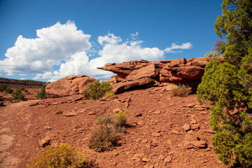 Rock sculptured natural landscape of Capitol Reef National Park