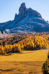 Dreamy colors and the magic of autumn. Dolomites in golden dress. Italy