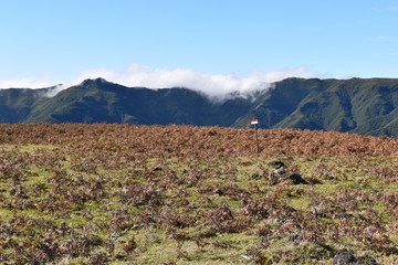 On the way to the hiking at the Fairy forest in Fanal with ancient laurel trees in Madeira, Portugal
