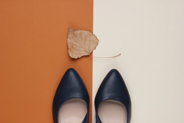 Autumn collection. Leather high heel shoes with dry autumn leaf on colored paper background. Studio shot. Top view