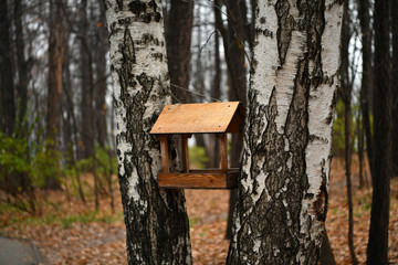 bird feeder in the park