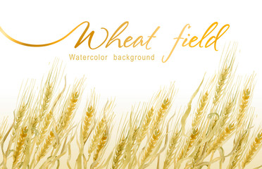 Field of gold wheat. Seamless watercolor background. - 300139196
