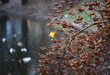autumn views and landscapes
