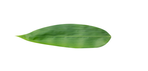Bamboo leaves in isolated white background,Clipping path