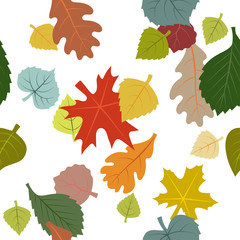 Vector image of autumn leaves. Maple, Elm, Birch, Aspen, Poplar, Oak, Linden