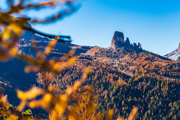 Dreamy colors and the magic of autumn. Dolomites in golden dress. Italy