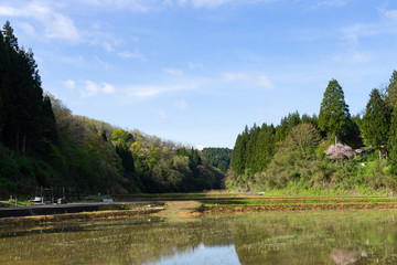 新潟の田園風景