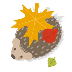 Vector image of autumn leaves and hedgehog