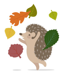 Vector image of autumn leaves and hedgehog - 300140514