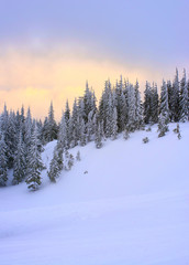 Snow covered mountainside against a dawn.