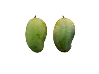 green mangoes  isolated on white background