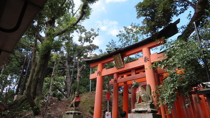 Fototapeta premium Kyoto temple, Japan