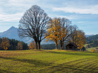 Fototapeta premium Autumn in the Alps 12