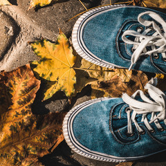 Blue sneakers on a background of yellow autumn leaves. 1:1 aspect ratio.