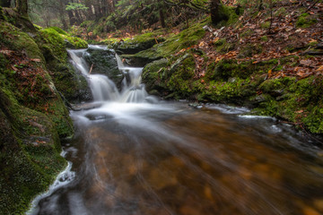 waterfall in forest