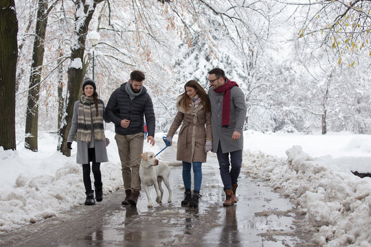 Friends walking dog in park on snow