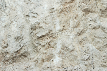 Natural limestone surface (shell stone, shell rock), background.
