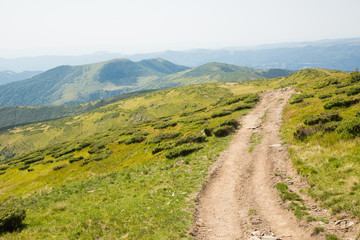 Trail in the mountains on a sunny summer day. Carpathian mountains, Ukraine. Beautiful landscape. 